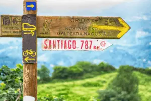 Cost of Camino de Santiago - Camino marker