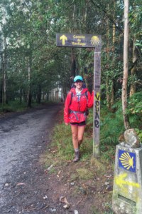 I spent eight days on the Camino de Santiago and walked from Sarria to Finisterre. Here's the cost of walking the Camino de Santiago.