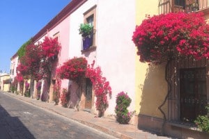One of the best things to do in Queretaro is wander the cities beautiful streets!