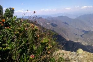 The sweeping views from Mirador Cuatro Palos. One of the best unknown places in Mexico is Jalpan de Serra!