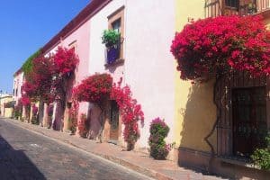 Wander the flower-lined streets of Queretaro and explore Mexico off the beaten path.