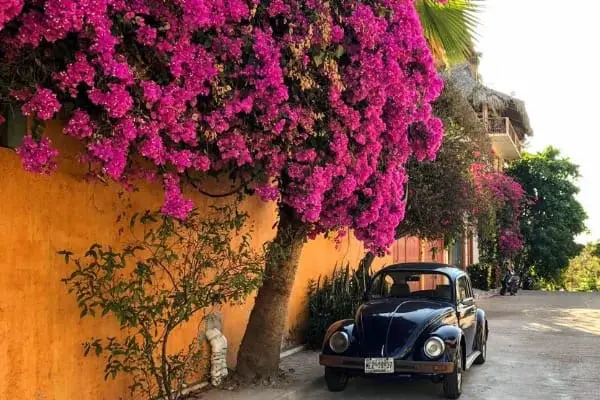beautiful street Puerto Escondido guide-min