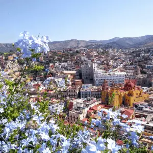 Things to do Guanajuato Mexico Guide