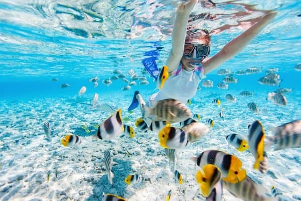 Best-snorkeling-Puerto-Vallarta