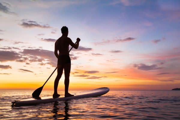 stand up paddle boarder sunset
