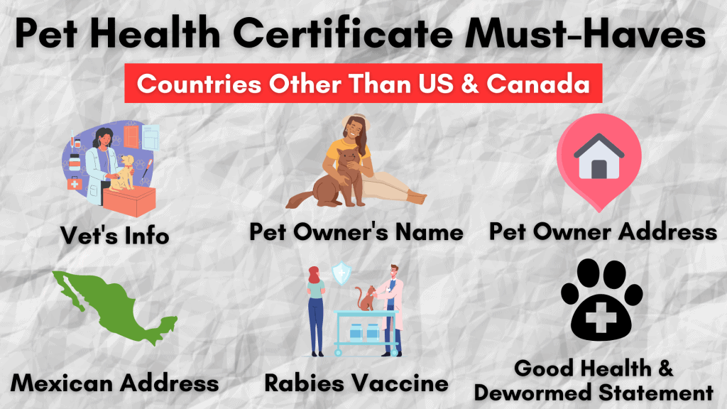 Health certificate moving to mexico with pets